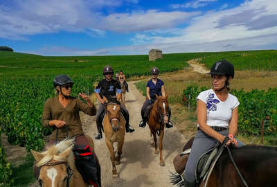 Cavaliers en Champagne