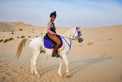 Cheval à Abu Dhabi