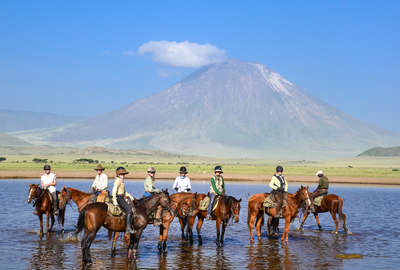 Cheval au lac Natron en Tanzanie