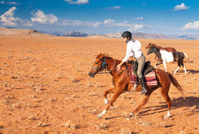 Chevauchée dans le Namib