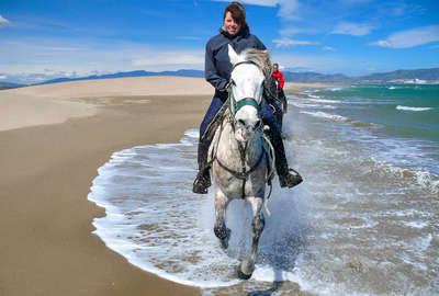 Chevaux en bord de mer près de Cadaquès