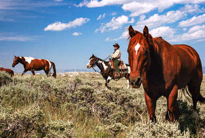 Convoyage de chevaux dans l'Idaho