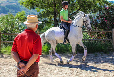 Cours de dressage par Georges Malléroni