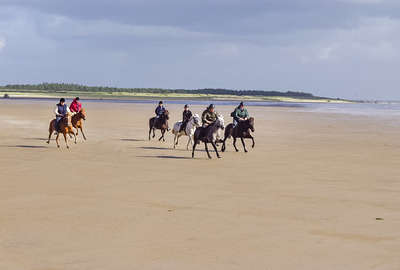 Danemark à cheval