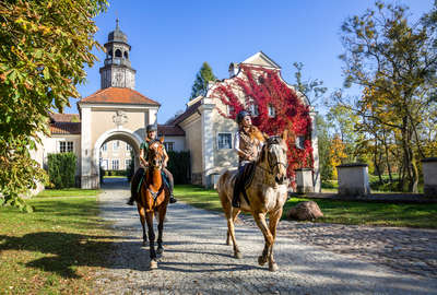 Départ en promenade en Pologne