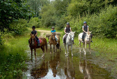 Chevaux et jeunes en Bretagne