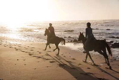 Galop au Maroc