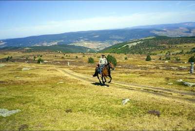 Plaine Massif Central - Galop