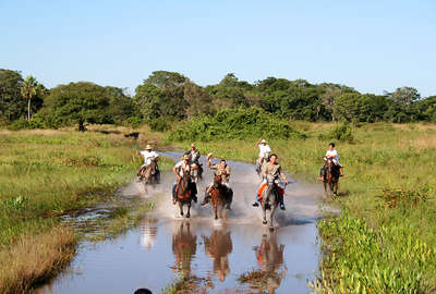 Au galop dans le Pantanal au Brésil
