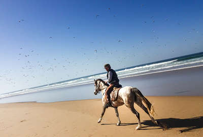 Galop près de la mer au Maroc