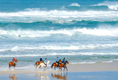Galop sur la plage en Aquitaine