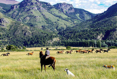 Argentine à cheval