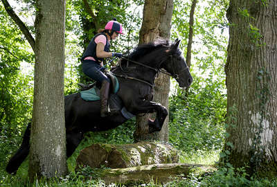 Au cross à cheval - Irlande