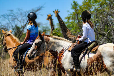 Jeunes cavalières en safari en Afrique du Sud