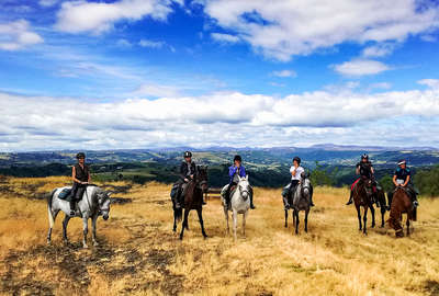 Cavaliers dans le Cantal