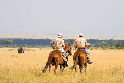 kenya à cheval