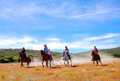 La Castille à cheval