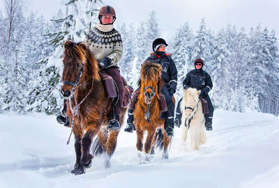 La Suède à cheval