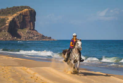 L'Australie à cheval