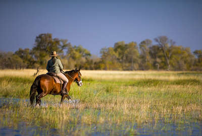 Le delta de l'Okavango à cheval