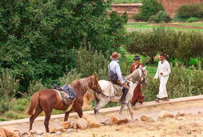 Le Maroc à cheval