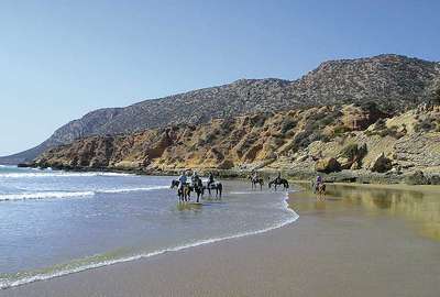 Chevaux sur la plage au Maroc