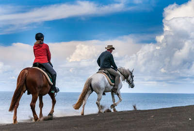 Littoral des Açores à cheval