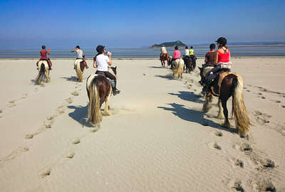 Mont Saint Michel à cheval