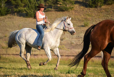 Montana à cheval