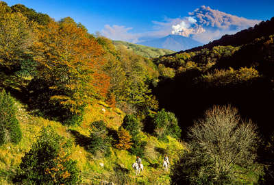 Parc naturel de Nebrodi à cheval