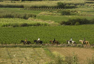 Randonnée à cheval au maroc