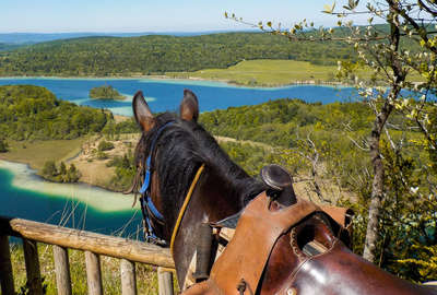 Paysage du Jura