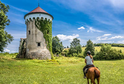 Paysages slovènes à cheval