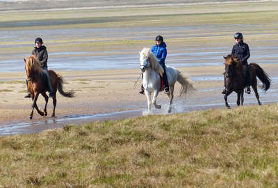 Plages danoises à cheval