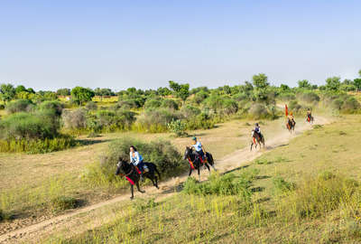 Rando à cheval au Rajasthan