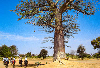 Rando à cheval au Sénégal