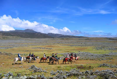 Rando à cheval en Ethiopie