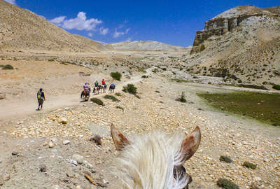 Rando équestre au Mustang