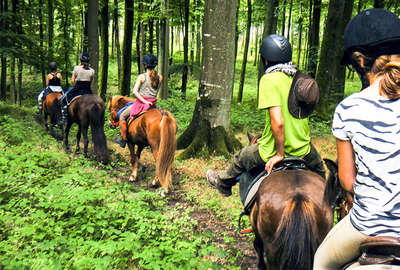 A cheval en Normandie