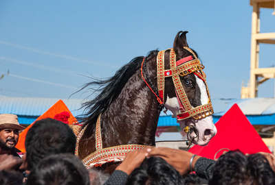randonnée à cheval à la foire de Pushkar