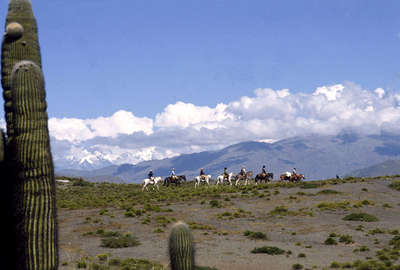 A cheval dans l'Ouest de l'Argentine