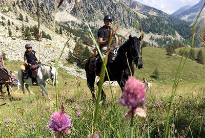 Séjour équestre dans le Mercantour