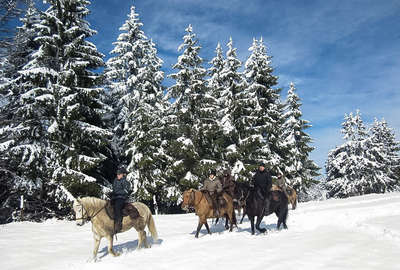 Randonnée dans le Jura enneigé