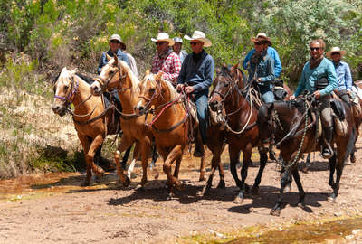 Randonnée équestre dans le Far West