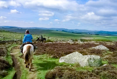 Randonnée équestre dans les Monts de l'Aubrac