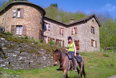 Randonnée équestre en Lozère