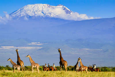 Safari à cheval au pied du Kili