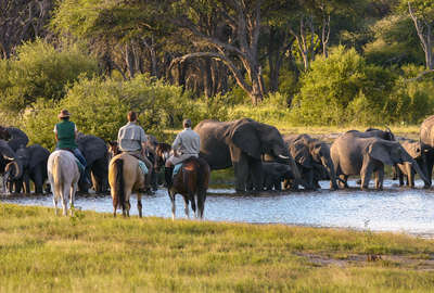 Safari à cheval dans le Hwange
