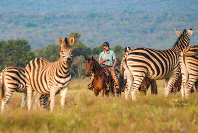 Safari à cheval en Afrique du Sud