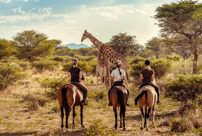 Safari équestre et découverte de la Namibie
